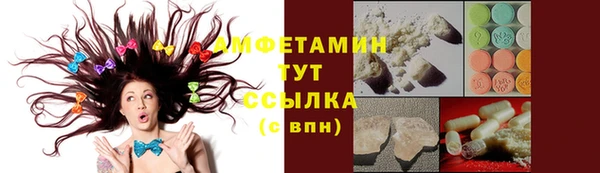 молекула духа Алексеевка