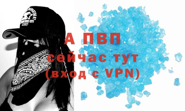 молекула духа Алексеевка