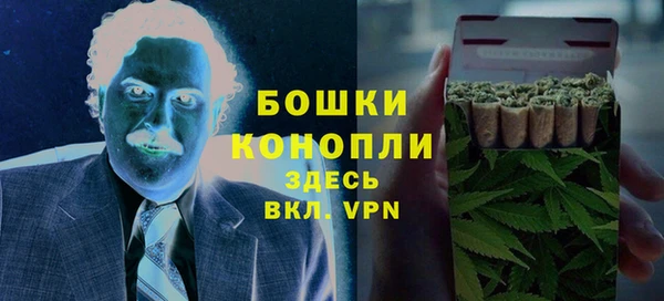 молекула духа Алексеевка