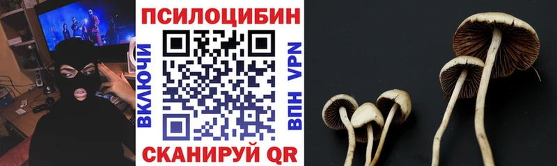 Галлюциногенные грибы GOLDEN TEACHER как найти закладки Рубцовск