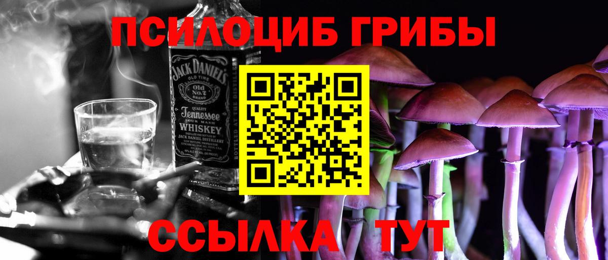Псилоцибиновые грибы Psilocybe Рубцовск