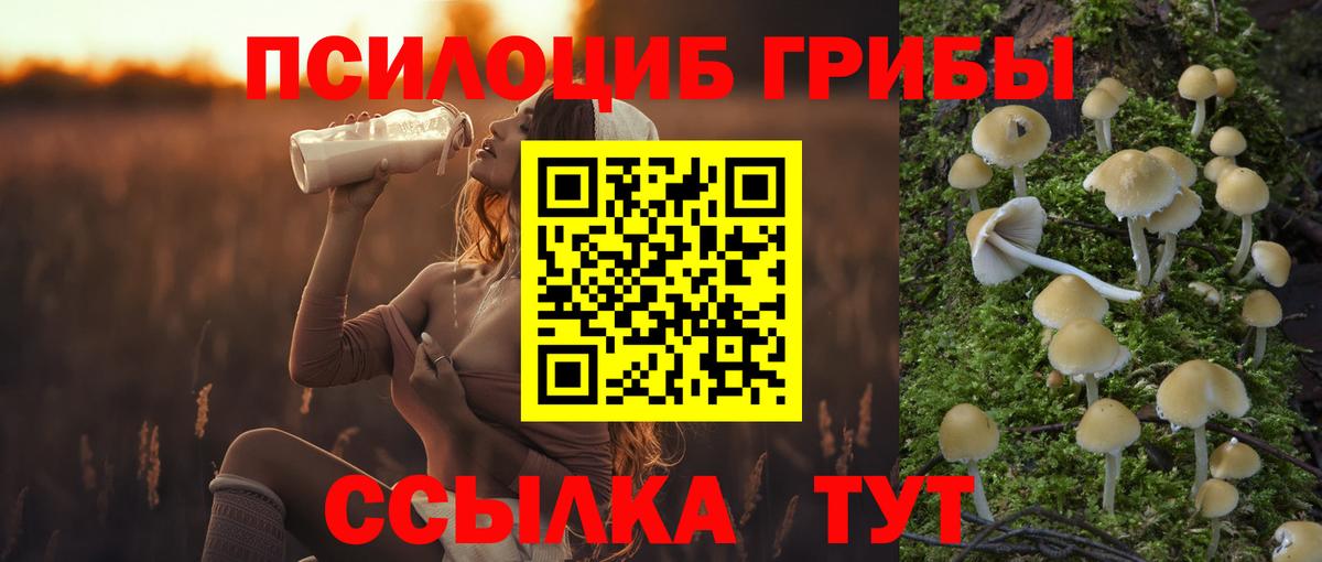 Рубцовск  Галлюциногенные грибы GOLDEN TEACHER  Вход с VPN 