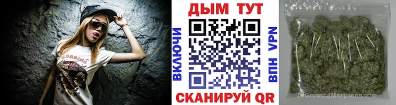 Шишки марихуана семена  что такое   Рубцовск 